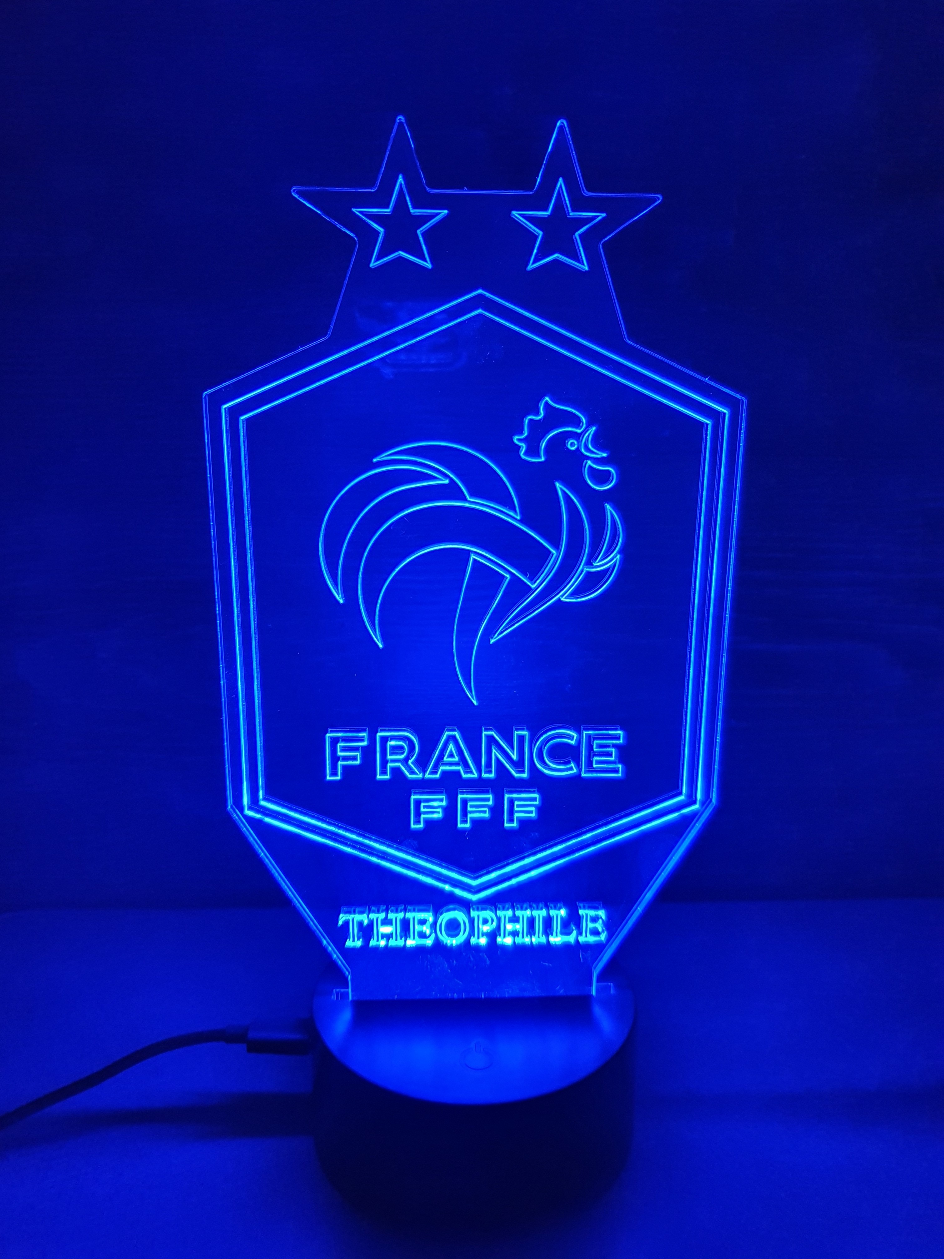 veilleuse LED , lampe de décoration logo FFF