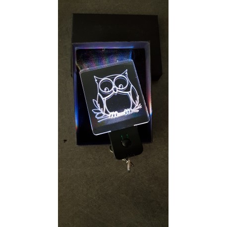 porte-clés LED lumineux Hiboux chouette