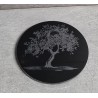 Sous verres Olivier